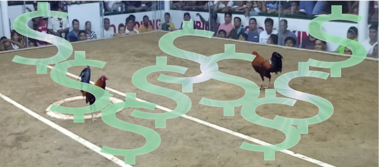 Derby matching software cockfighting